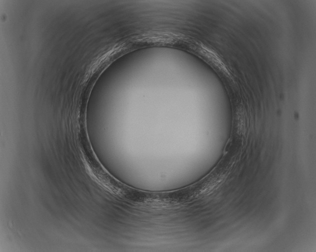 X0000086110538200704091421