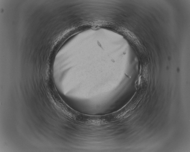 X0000086110540200704091421