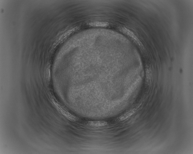 X0000086110541200704091421