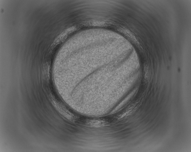 X0000086110542200704091421