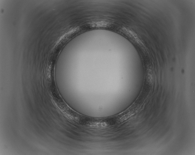 X0000086110543200704091421