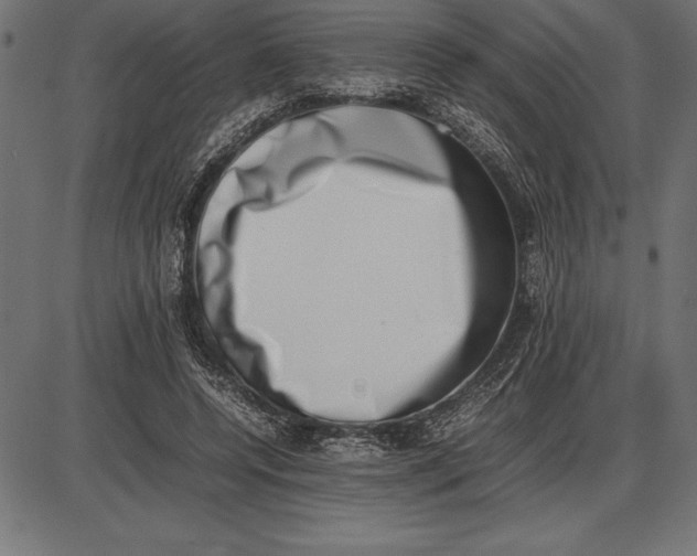 X0000086110544200704091421