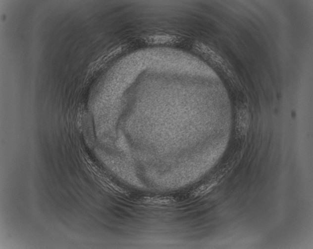 X0000086110545200704091421