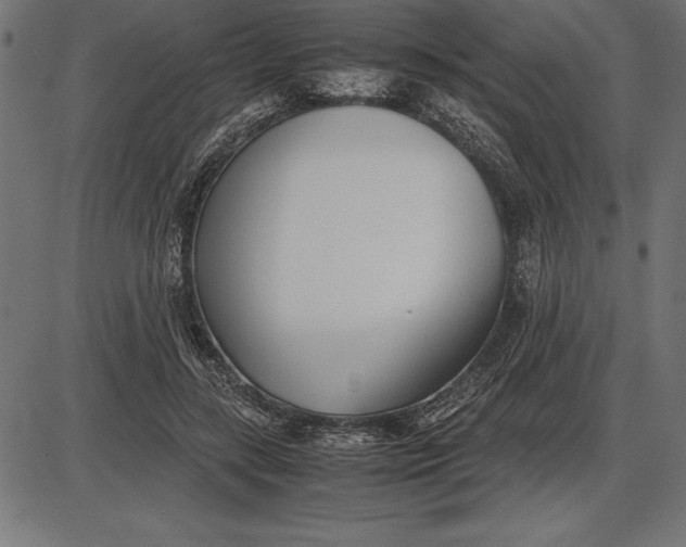 X0000086110547200704091421