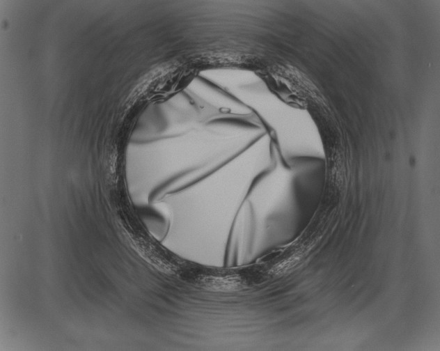 X0000086110548200704091421