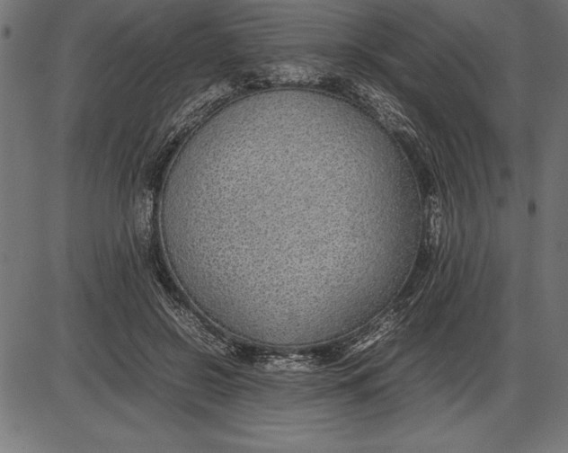 X0000086110550200704091421