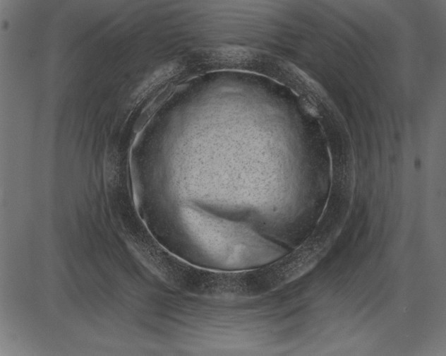 X0000086110552200704091421