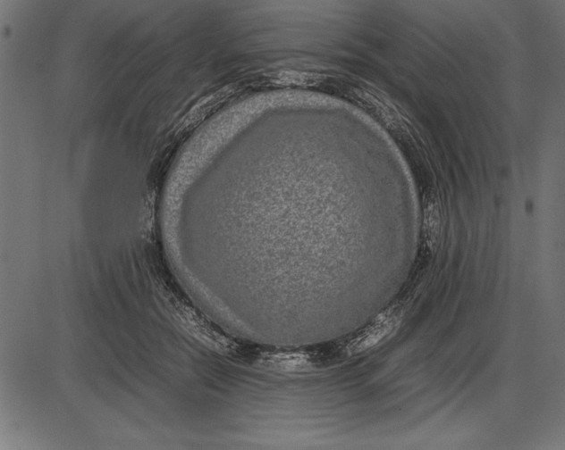 X0000086110554200704091421