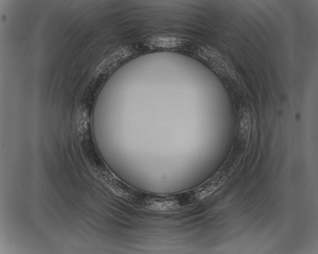 X0000086110555200704091421