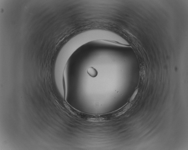 X0000086110556200704091421