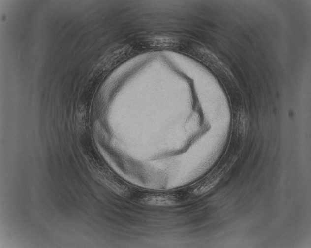 X0000086110557200704091421