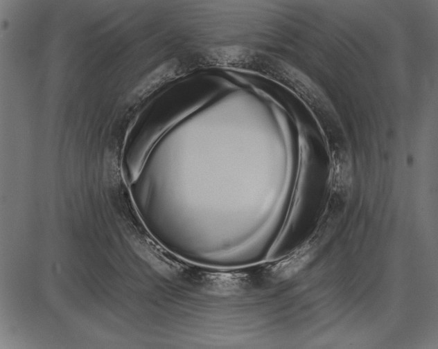 X0000086110558200704091421