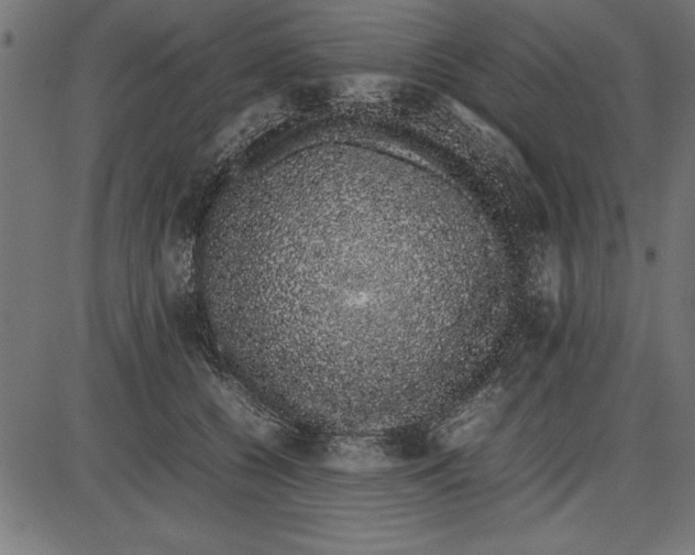 X0000086110560200704091421