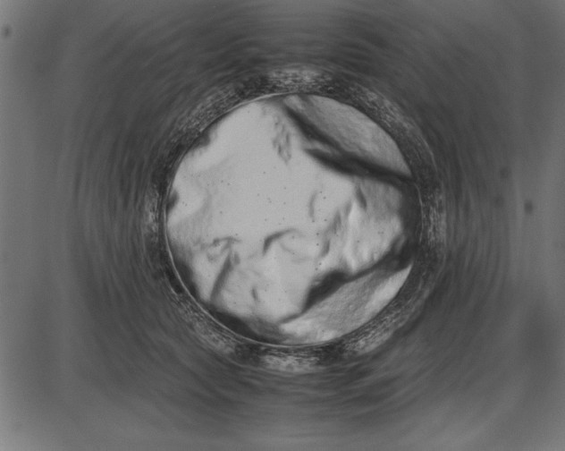 X0000086110561200704091421