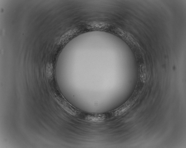 X0000086110563200704091421