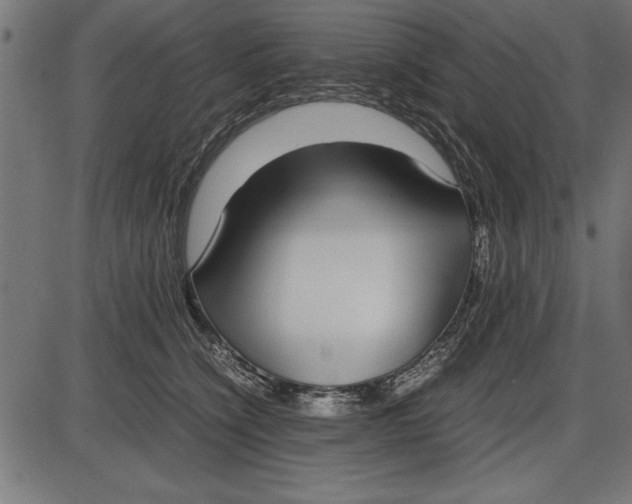 X0000086110564200704091421