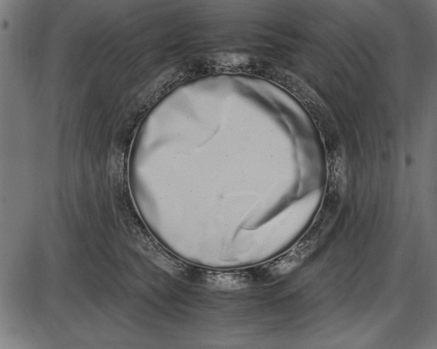 X0000086110565200704091421