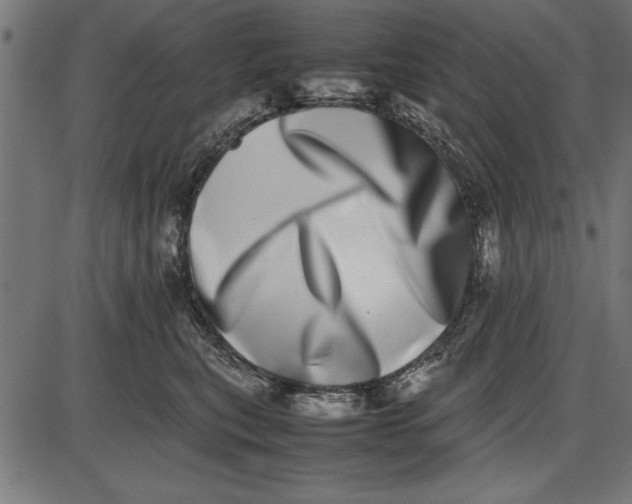 X0000086110567200704091421