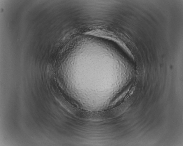 X0000086110568200704091421