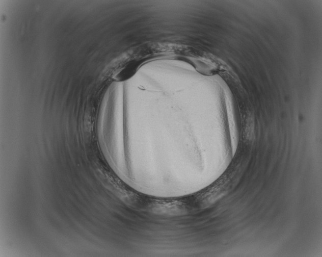 X0000086110569200704091421