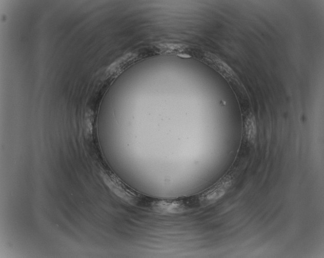 X0000086110570200704091421