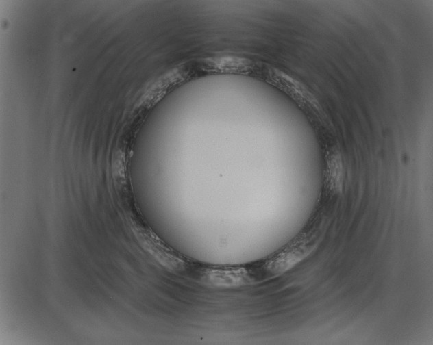 X0000086110571200704091421