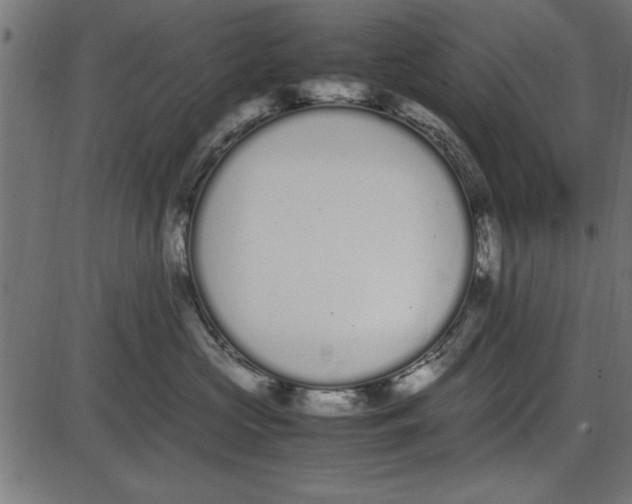 X0000086110573200704091421