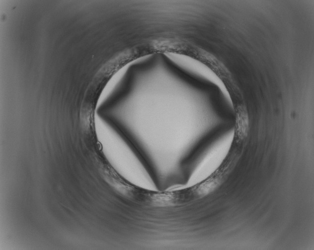 X0000086110574200704091421