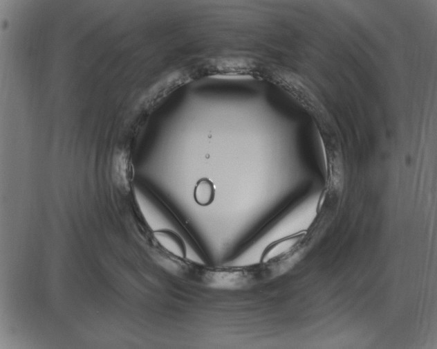 X0000086110575200704091421