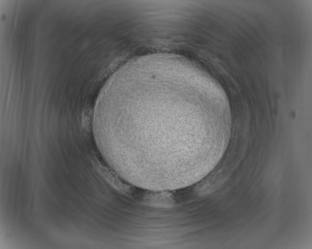 X0000086110576200704091421