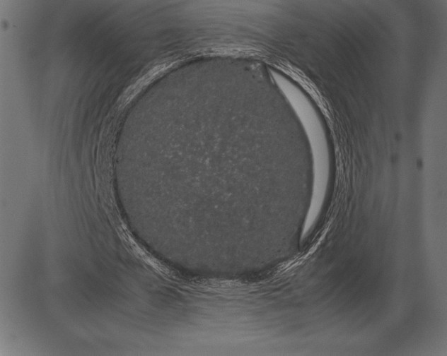 X0000086110577200704091421