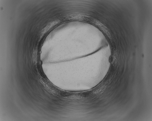 X0000086110578200704091420