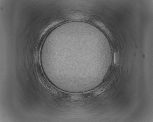 X0000086110579200704091420