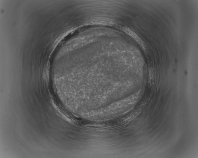 X0000086110580200704091420