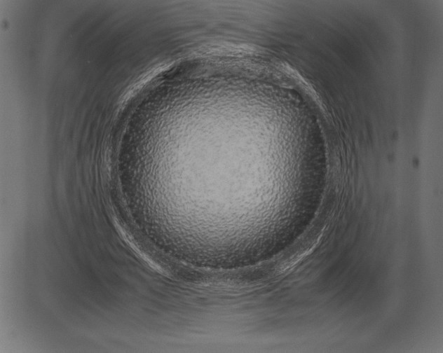 X0000086110581200704091420