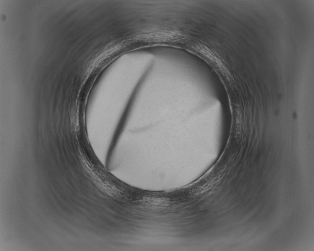 X0000086110582200704091420