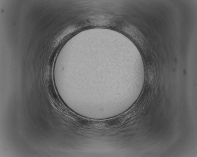 X0000086110583200704091420