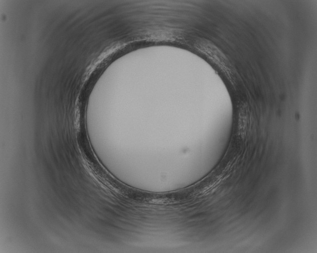 X0000086110584200704091420