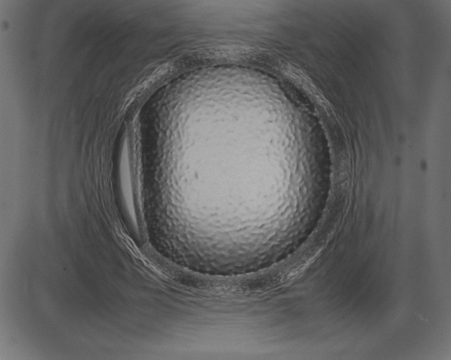 X0000086110585200704091420