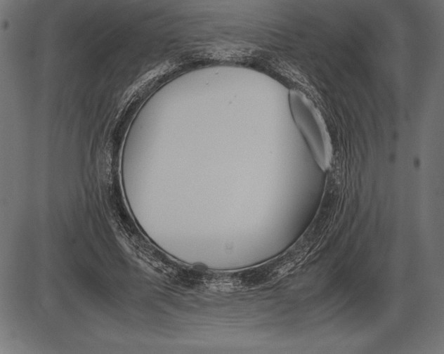 X0000086110587200704091420