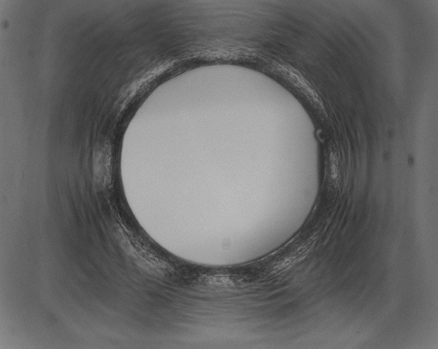 X0000086110588200704091420