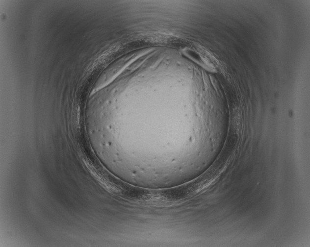 X0000086110589200704091420