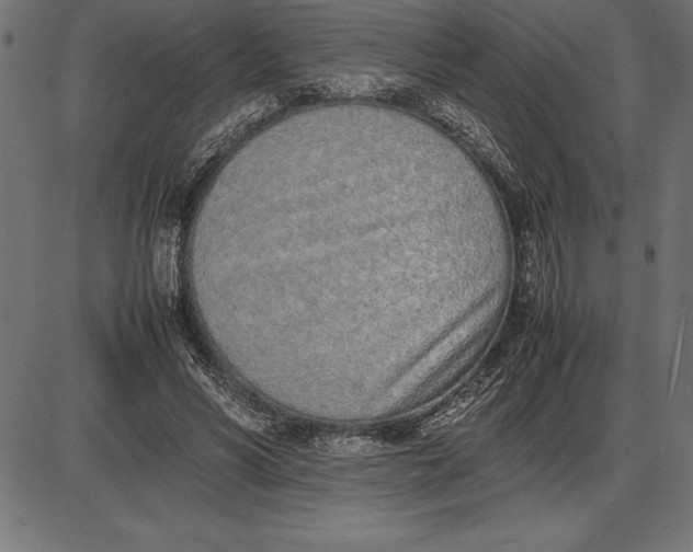 X0000086110590200704091420