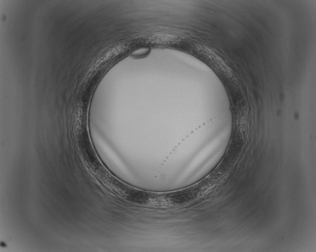 X0000086110591200704091420