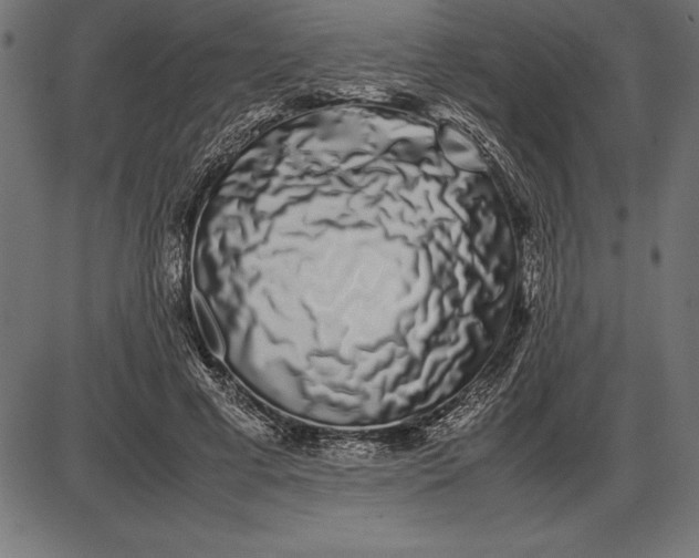 X0000086110593200704091420