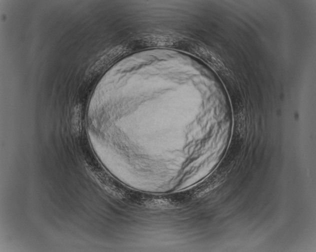 X0000086110594200704091420