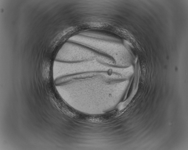 X0000086110596200704091420