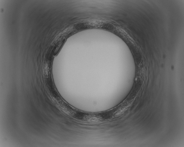 X0000086110597200704091420