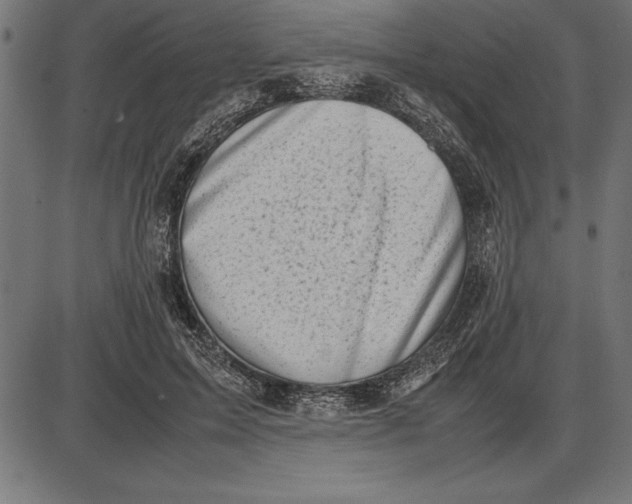 X0000086110599200704091420