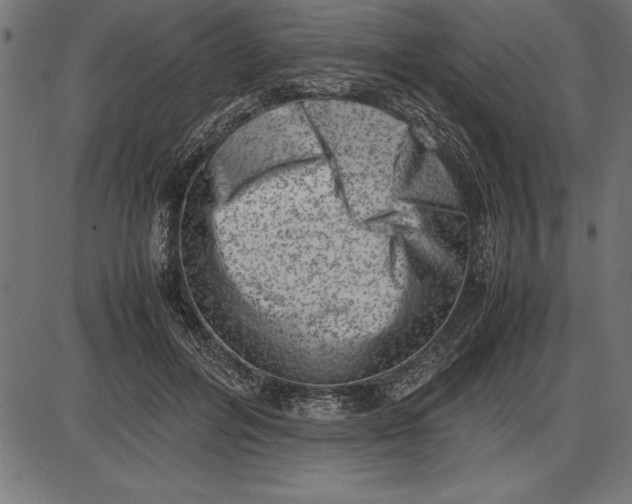 X0000086110600200704091420